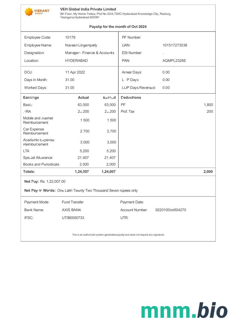 Vibrant Energy VEH Global India payslip template w formatach Word i PDF